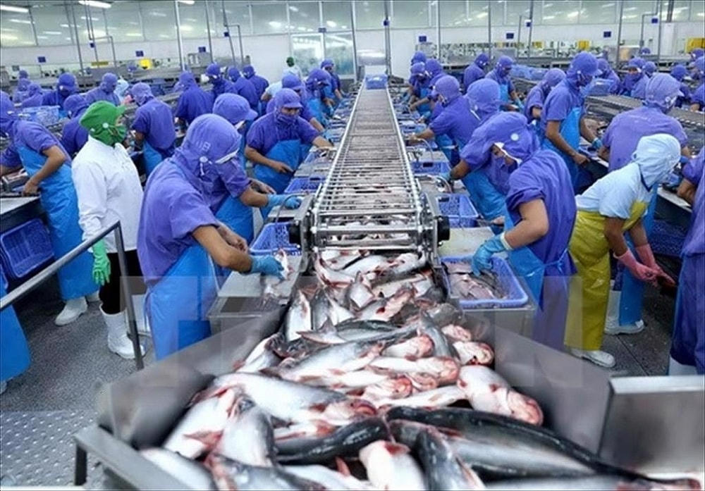 Xuất khẩu thủy sản đối mặt nhiều khó khăn.