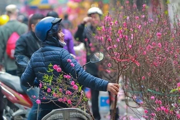Dịp nghỉ nghỉ Tết Nguyên đán Giáp Thìn 2024, thời tiết ở miền Bắc phổ biến rét. (Ảnh: PV/Vietnam+)