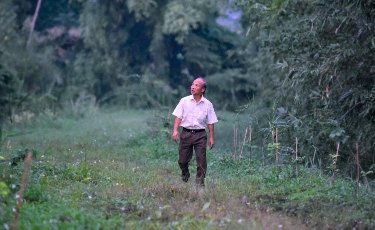 Gần 15 năm qua, ông Mai Văn Quân tại khu 6 thị trấn Hà Trung (Thanh Hóa) đã tự bỏ tiền túi đầu tư khu đất rộng từ 8 ha rồi đến 22 ha để trồng cây, làm nơi trú ngụ cho đàn cò lên đến cả vạn con.