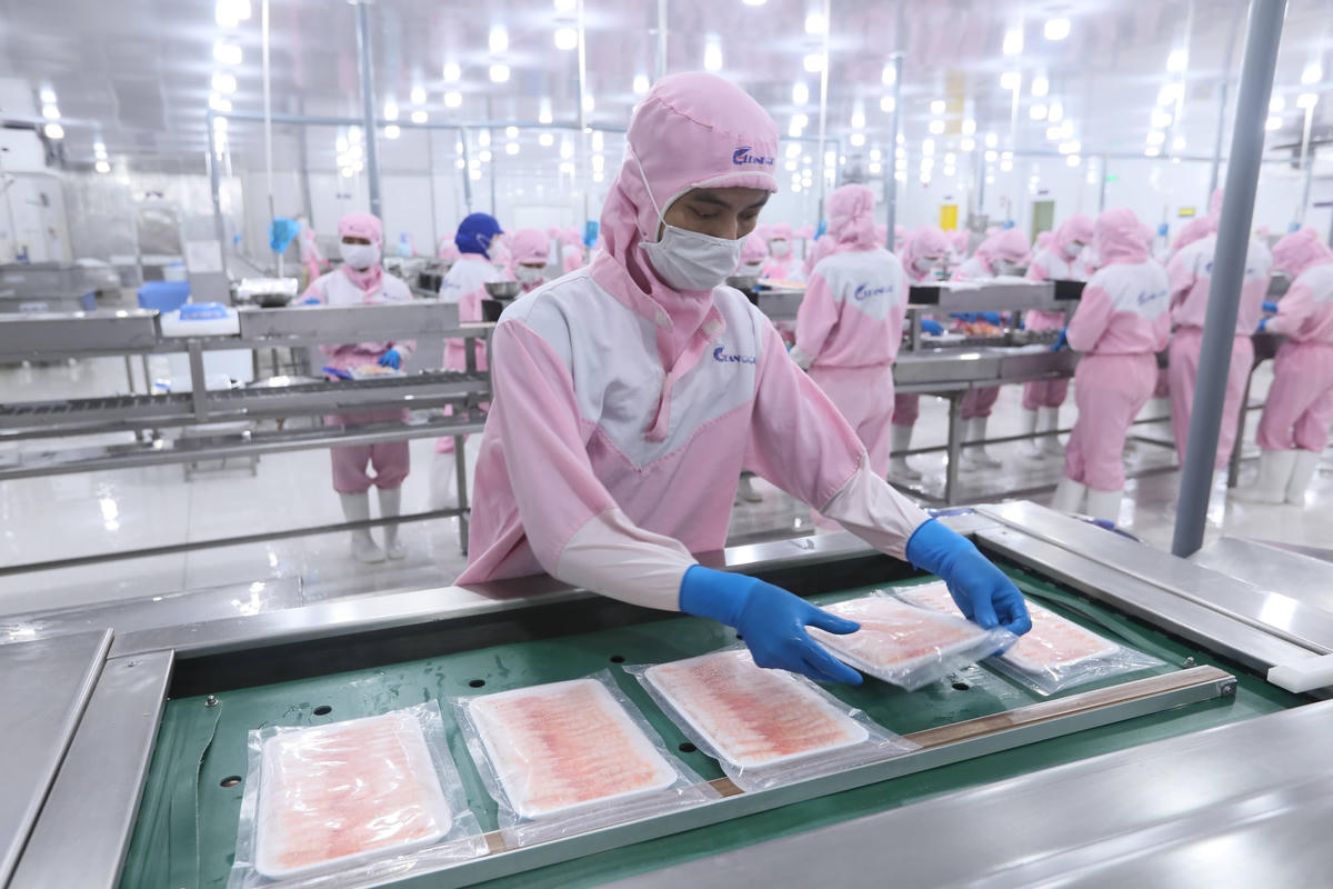 Nhiều tín hiệu cho thấy thị trường xuất khẩu hàng thủy sản đông lạnh và chế biến ấm dần lên. Ảnh: Quang Vinh.