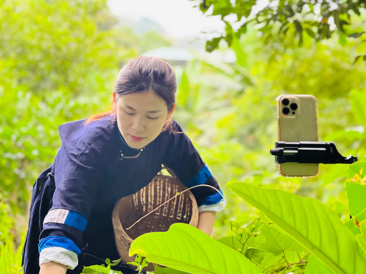 Với những video đẹp, gần gũi với làng quê, Tiktoker Nông Cẩm Quỳnh đã thành công đưa nông sản quê nhà lên sàn thương mại điện tử.