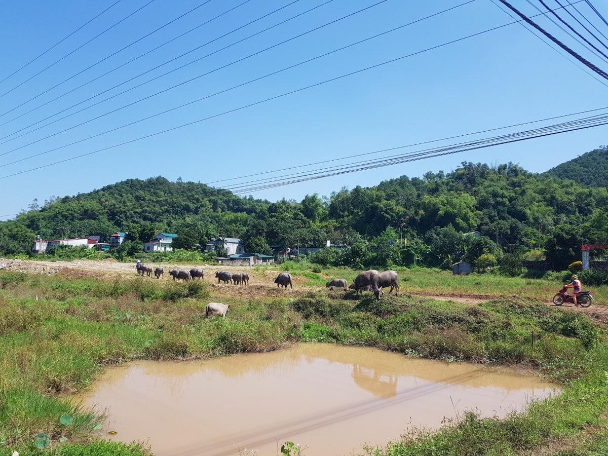 Dự án dừng hoạt động, gần như nguyên trạng.