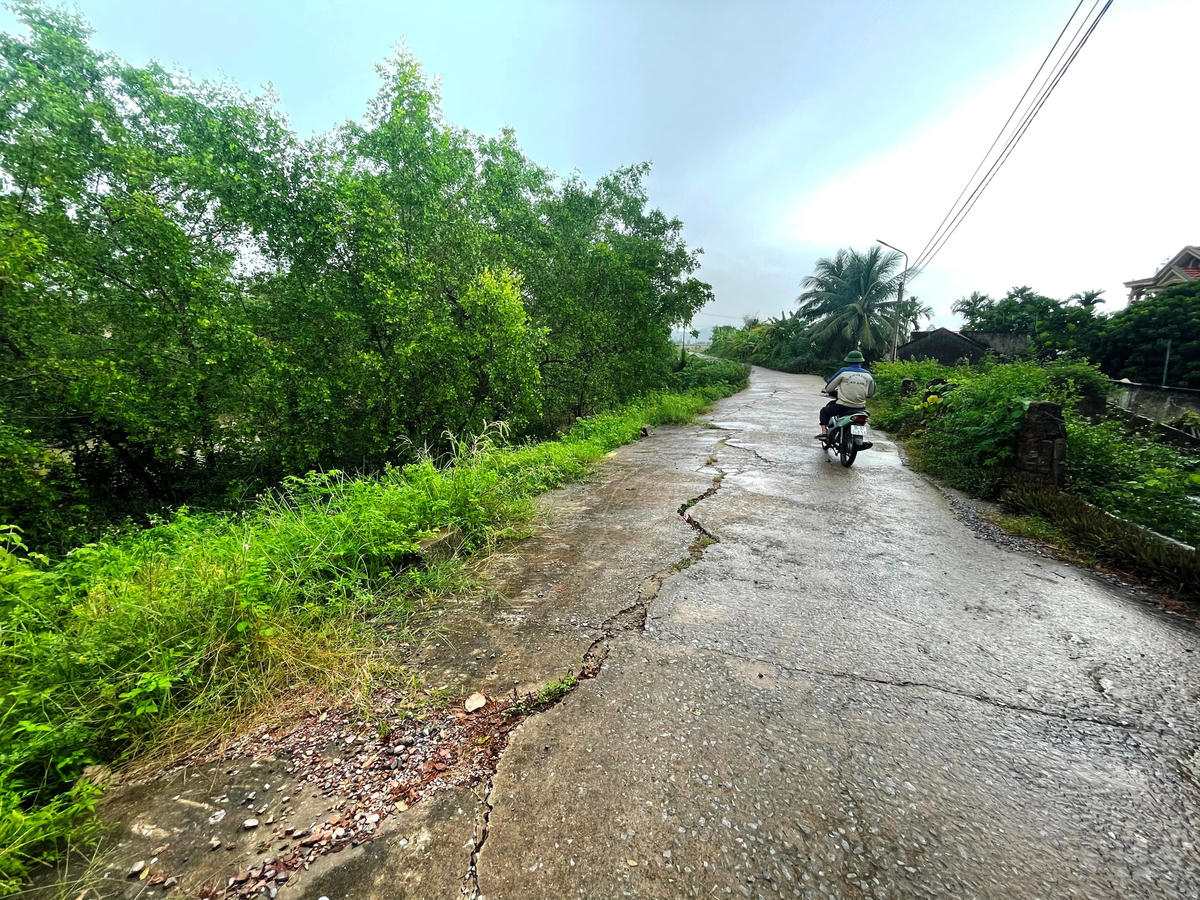 Đoạn đê phía Đông sông Cùng qua xã Hoằng Ngọc, huyện Hoằng Hóa bị nứt lún nghiêm trọng.