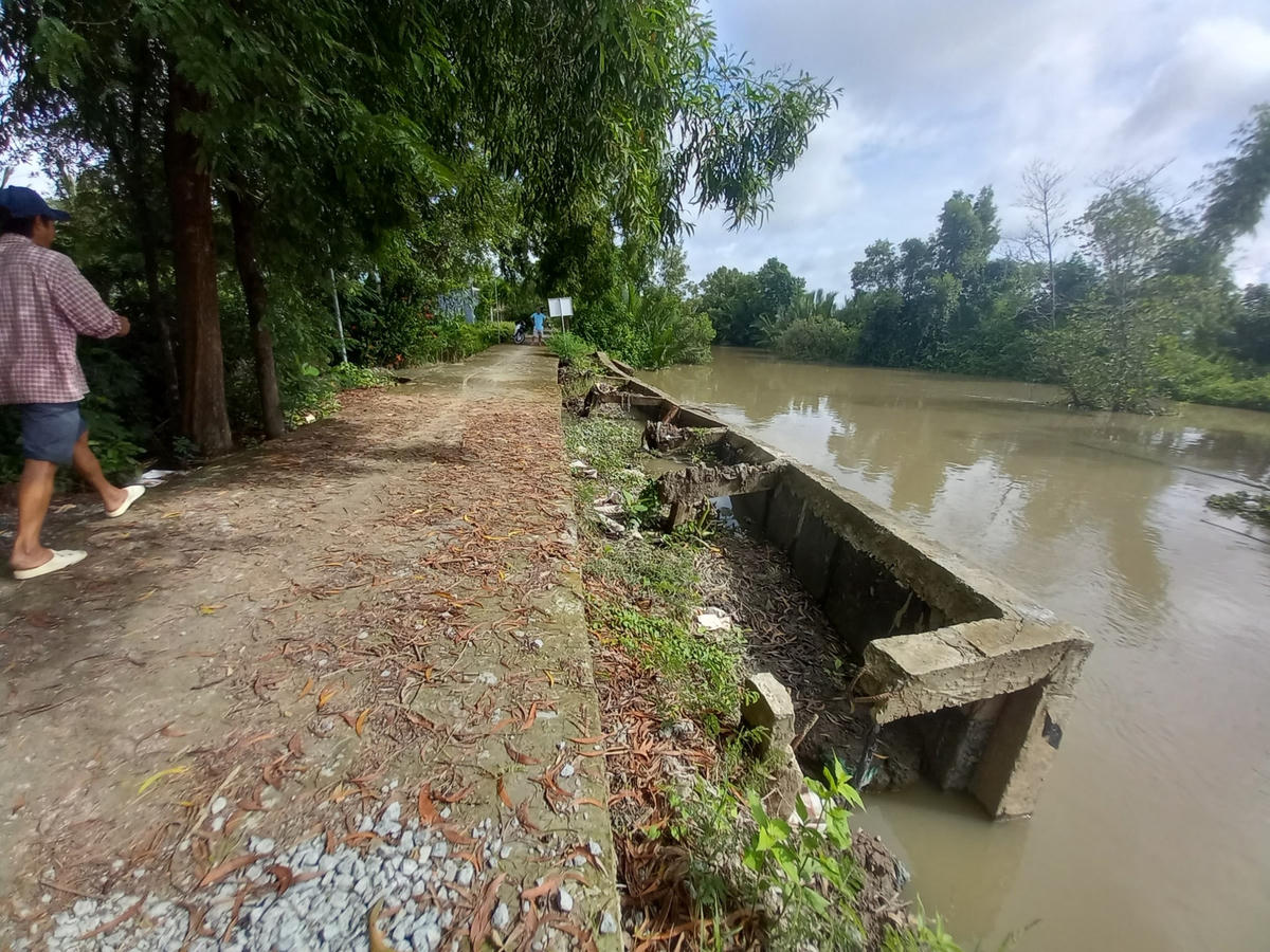 Nhiều đoạn kè đã được chính quyền địa phương gia cố nhưng tiếp tục bị sụp lún vì dòng chạy mạnh từ cống Sư Son đạp thẳng vào bờ.