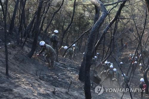 Hiện trường vụ cháy rừng. Ảnh: Yonhap.