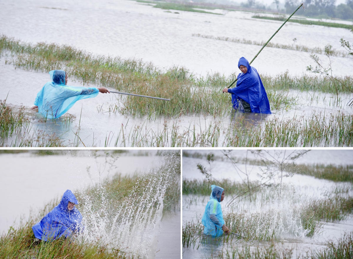 Theo nhiều bà con, việc đập chuột không khó nhưng đòi hỏi sự “lanh mắt” và “nhanh tay”. Ảnh: Cẩm Kỳ