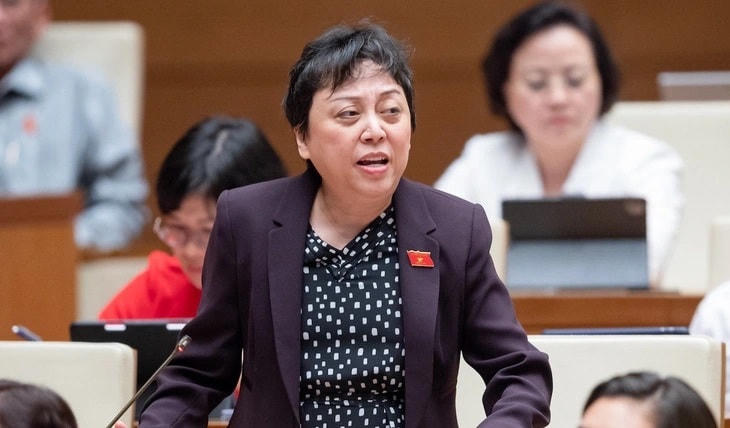 ĐBQH Phạm Khánh Phong Lan.
