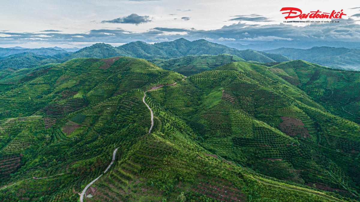 Chỉ còn ít ngày nữa người trồng vải thiều Lục Ngạn (Bắc Giang) sẽ thu hoạch xong vụ vải 2022. Từ 2h sáng người dân huyện Lục Ngạn (Bắc Giang) lại thức giấc, tất bật chuẩn bị cho một ngày thu hoạch vải thiều, để kịp chở ra chợ bán cho thương lái vào buổi sáng.