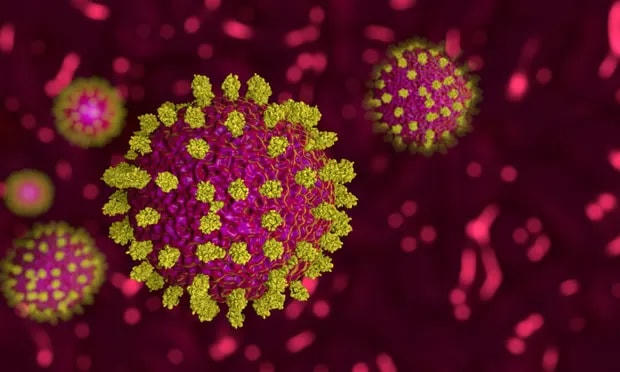 Dự án "Sáng kiến Virus Hô hấp và Hệ vi sinh vật" nhằm mục đích sử dụng công nghệ giải trình tự DNA để phát hiện các bệnh mới. Ảnh: Alamy.