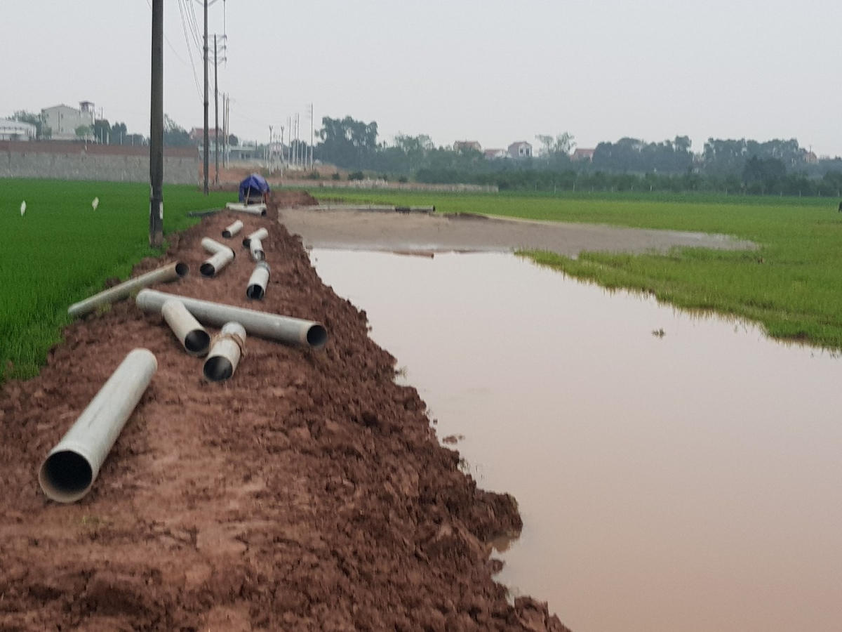Cát được bơm lên được cho là để sử dụng cho hoạt động san lấp tại một dự án. .