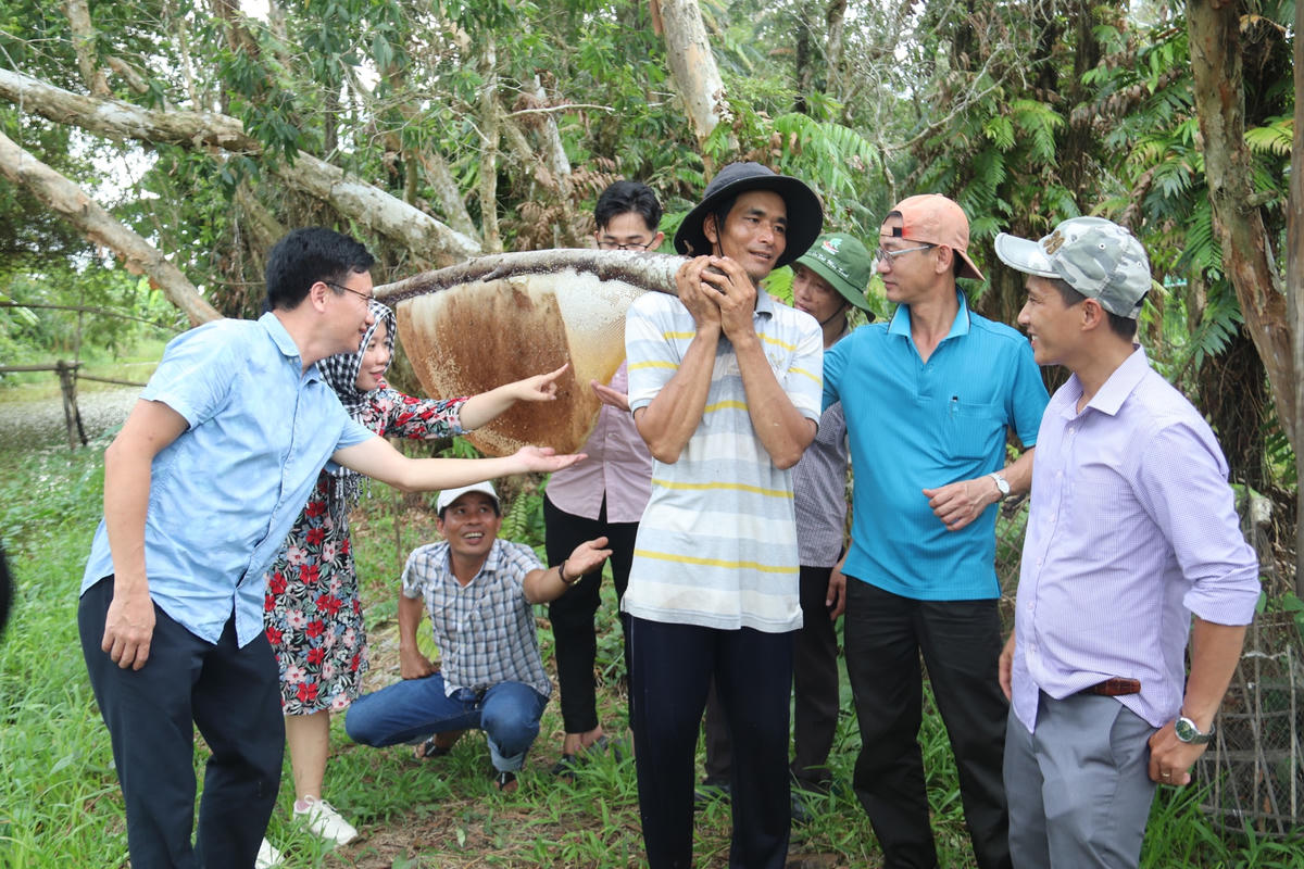 Về Cà Mau du khách được trải nghiệm bắt cua và bắt ong lấy mật.