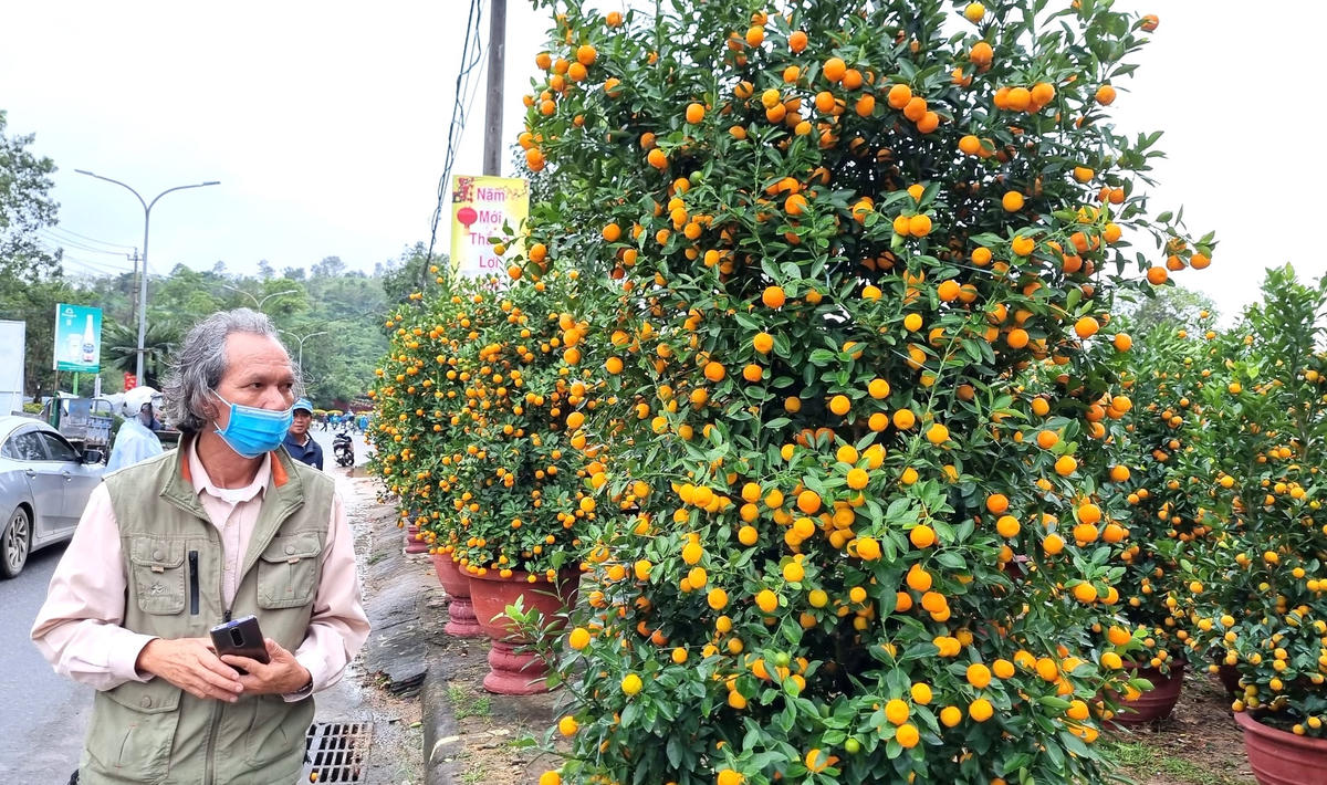 Người dân Quảng Ngãi xem hoa Tết.