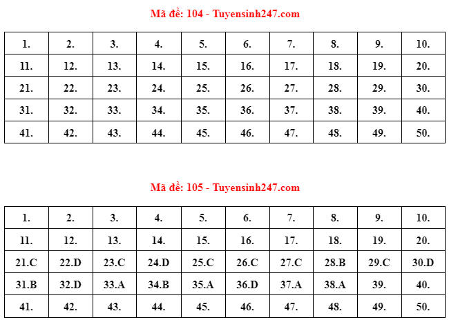 Đáp án gợi ý đề Toán thi tốt nghiệp THPT năm 2022