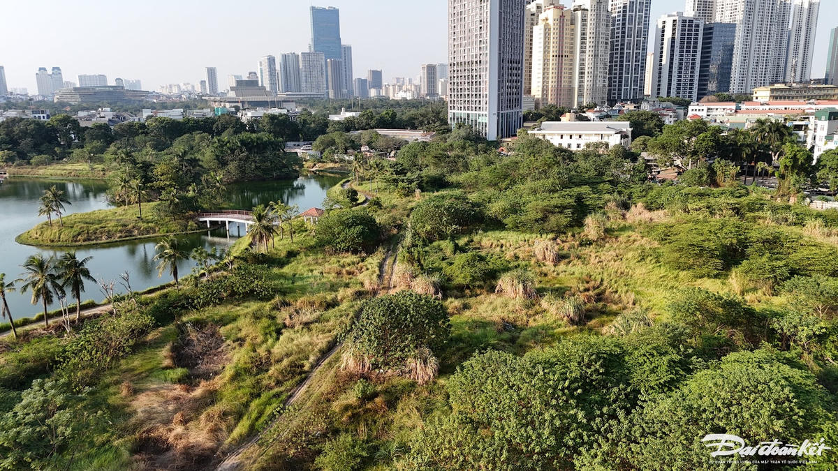 dji_20241120152834_0022_d.jpg