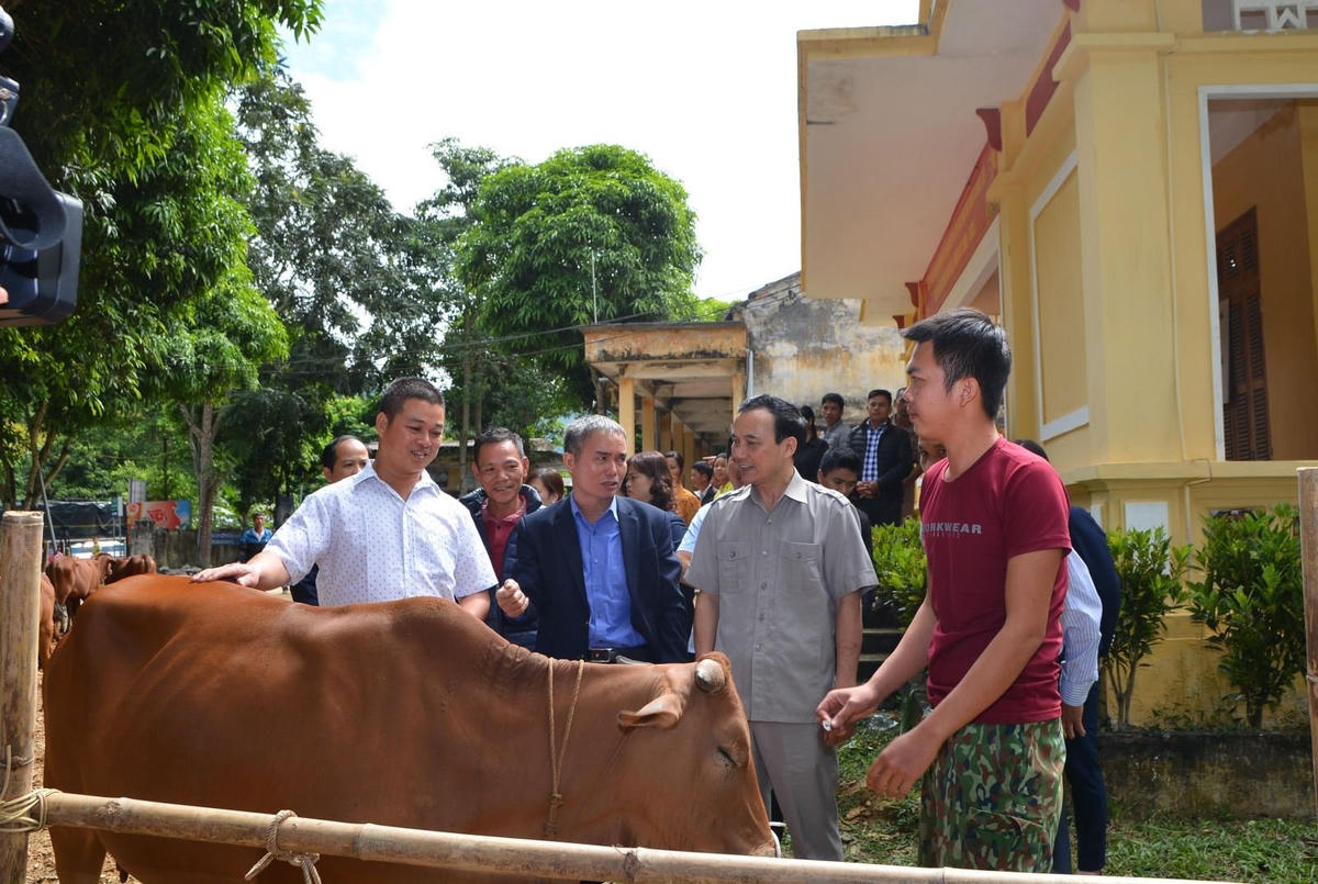 Đại diện Ủy ban MTTQ tỉnh Tuyên Quang trao bò cho hộ cận nghèo tại thôn Làng Đài 1, xã Kiên Đài, huyện Chiêm Hóa.