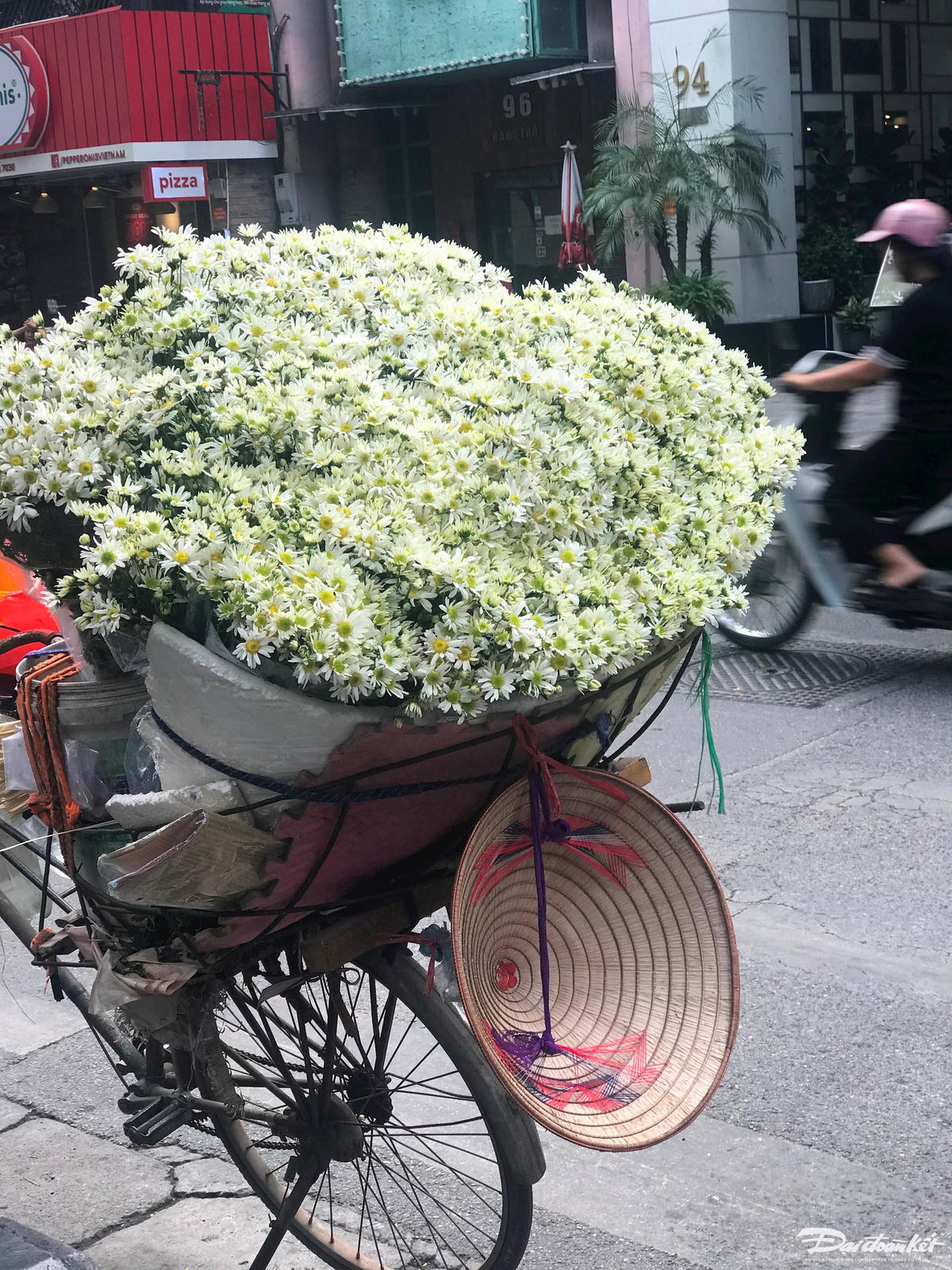 W_img-6793.jpg