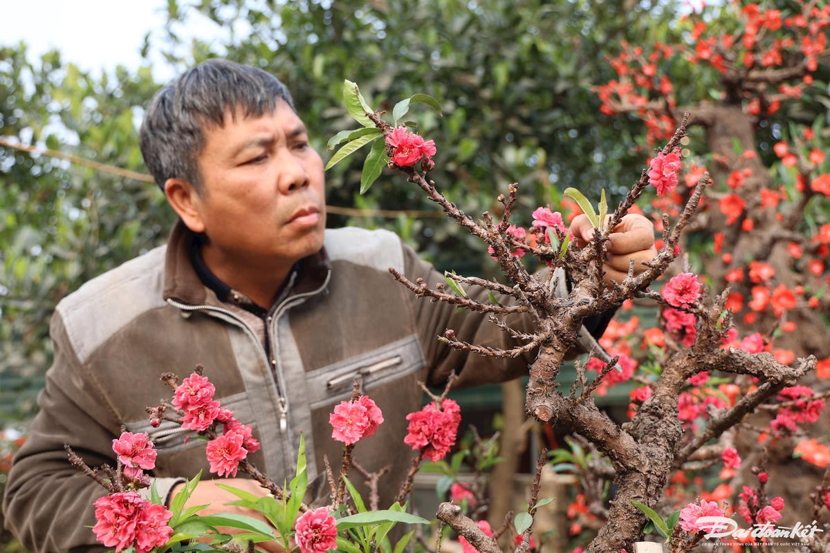 dao_that_thon-le-khanh4.jpg