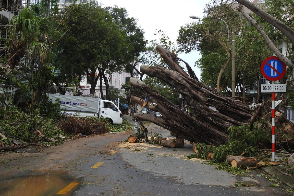 CCaay đổ ô too2373