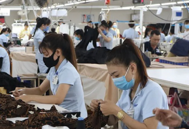 Cần có chính sách khuyến khích người lao động gắn bó lâu dài với chính sách bảo hiểm xã hội.