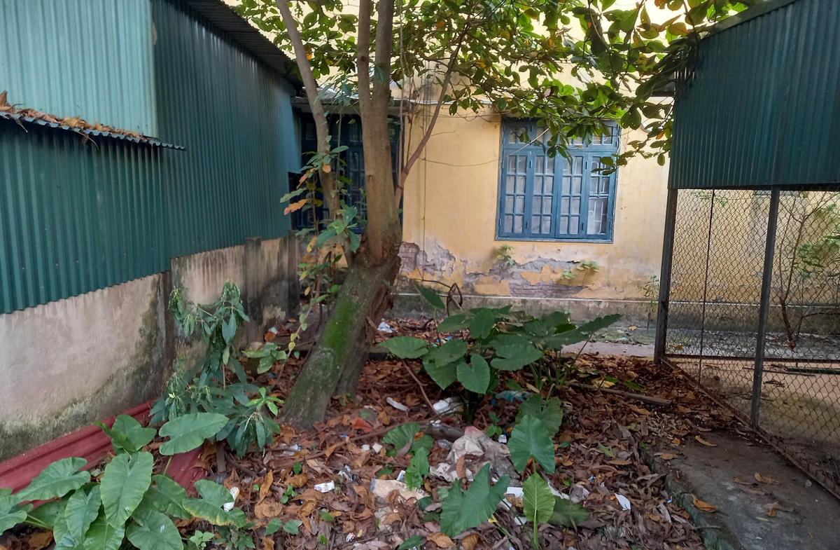 Nhiều người dân phường Hoàng Liệt cho biết, từ khi chuyển sang trường mới học thì ngôi trường cũ bị bỏ không và không được sử dụng gì. 