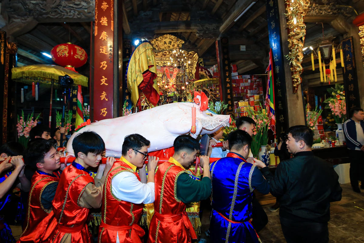  Sau khi “dạo quanh” làng, các “ông lợn” lần lượt được rước vào đình dưới sự hướng dẫn của ban tổ chức và các cụ cao niên.
