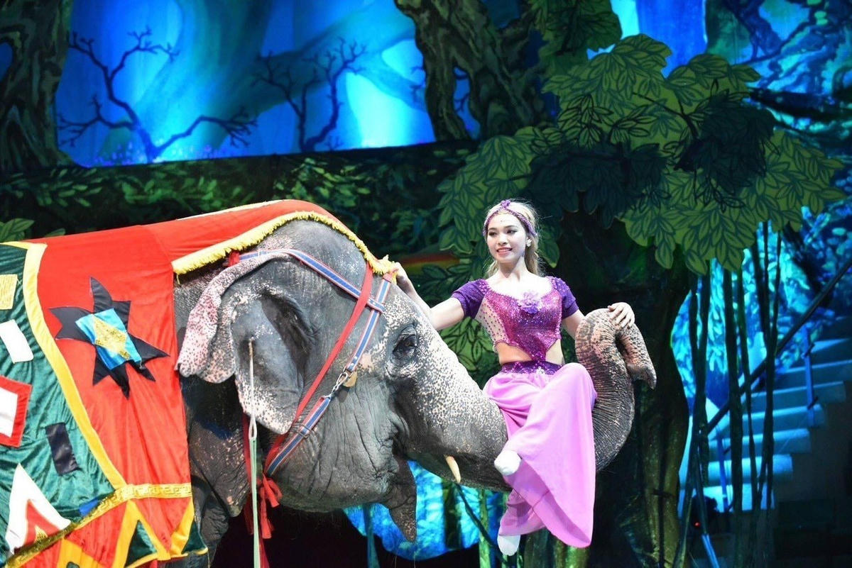 Nhiều nghệ sĩ xiếc có tuổi đời còn rất trẻ, nhưng đã có nhiệt huyết rất lớn với nghề.