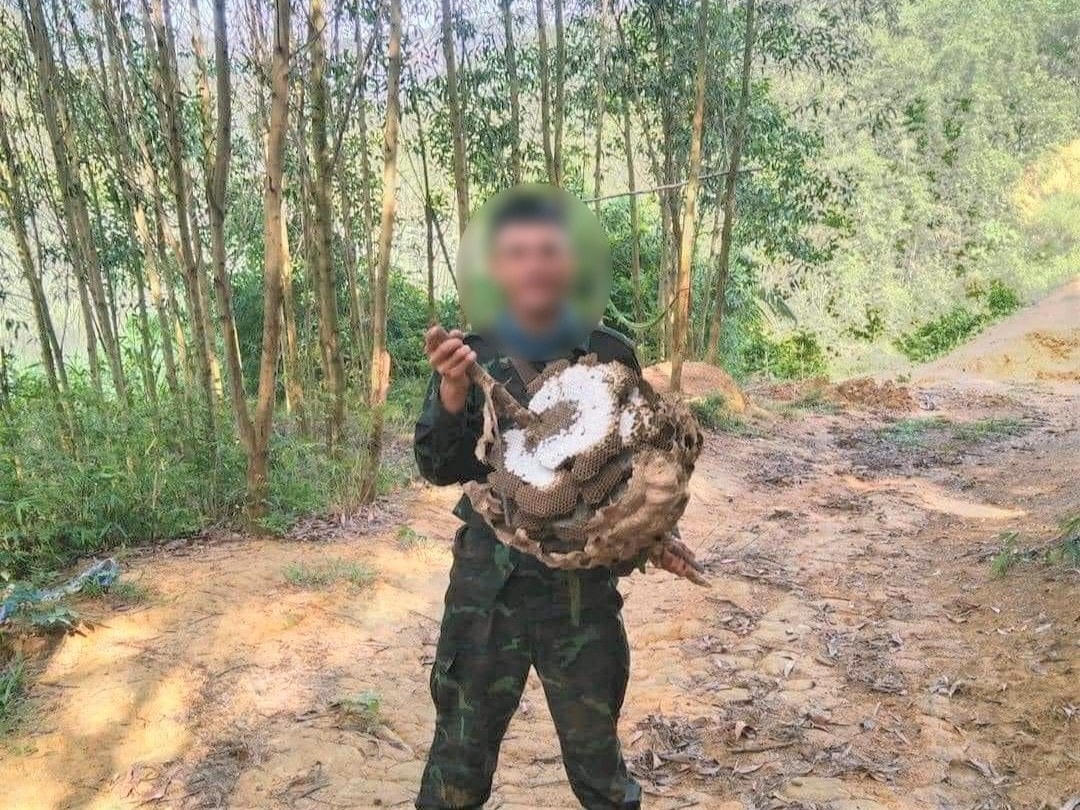 Anh Vi Văn Nghĩa vào rừng săn mật ong vào ngày 14/9, sau đó bất ngờ mất liên lạc với gia đình.