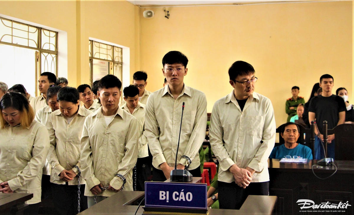 bi-cao-1.jpg