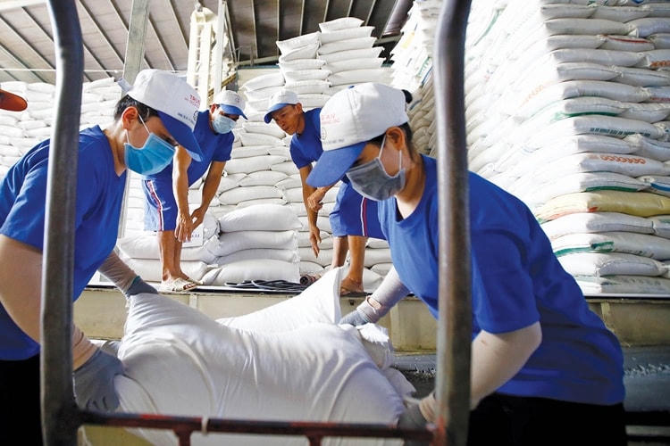 Xuất khẩu gạo cũng đang đối diện nhiều khó khăn.