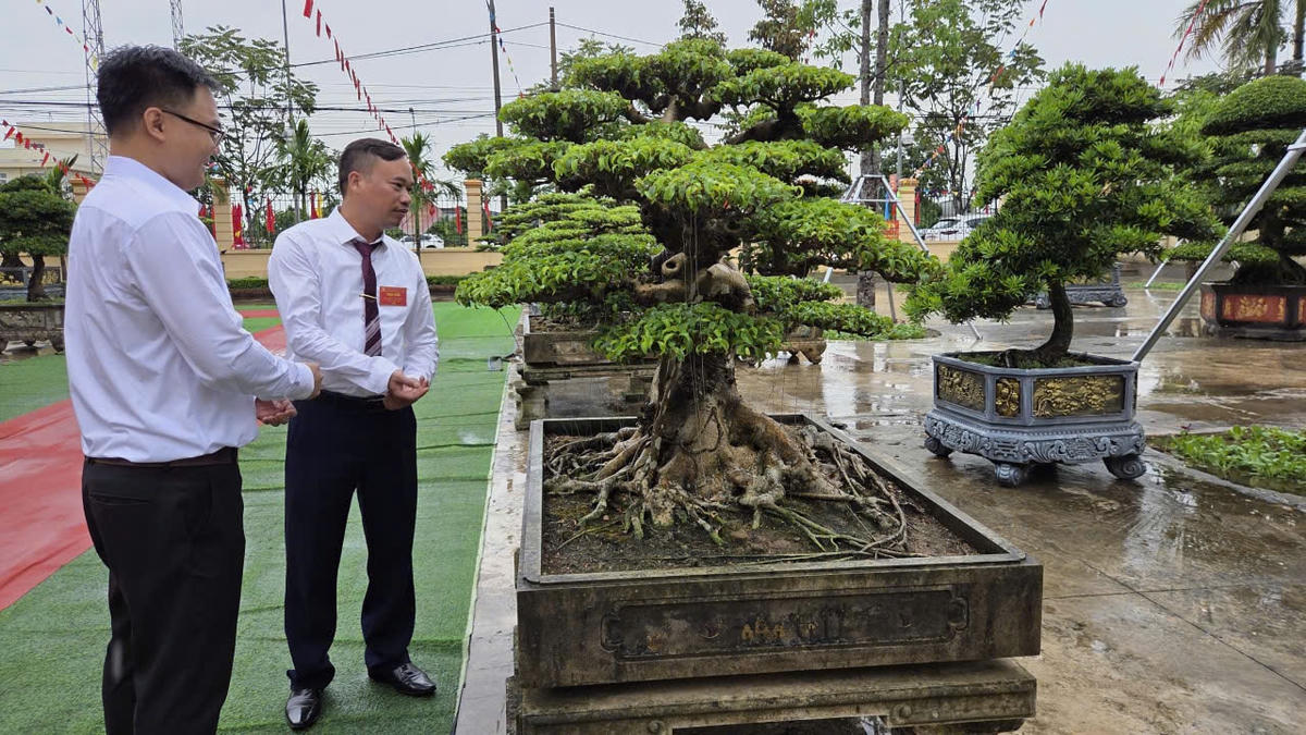 Vị Khê là phường có nghề làm cây cảnh nổi tiếng, phát triển nghề làm cây cảnh gắn với phát triển du lịch sinh thái là hướng chính phát triển kinh tế của phường trong nhiệm kỳ mới. Trong ảnh: Cây cảnh được trưng bày tại đại hội Đảng bộ phường. Ảnh: Duy Hưng.