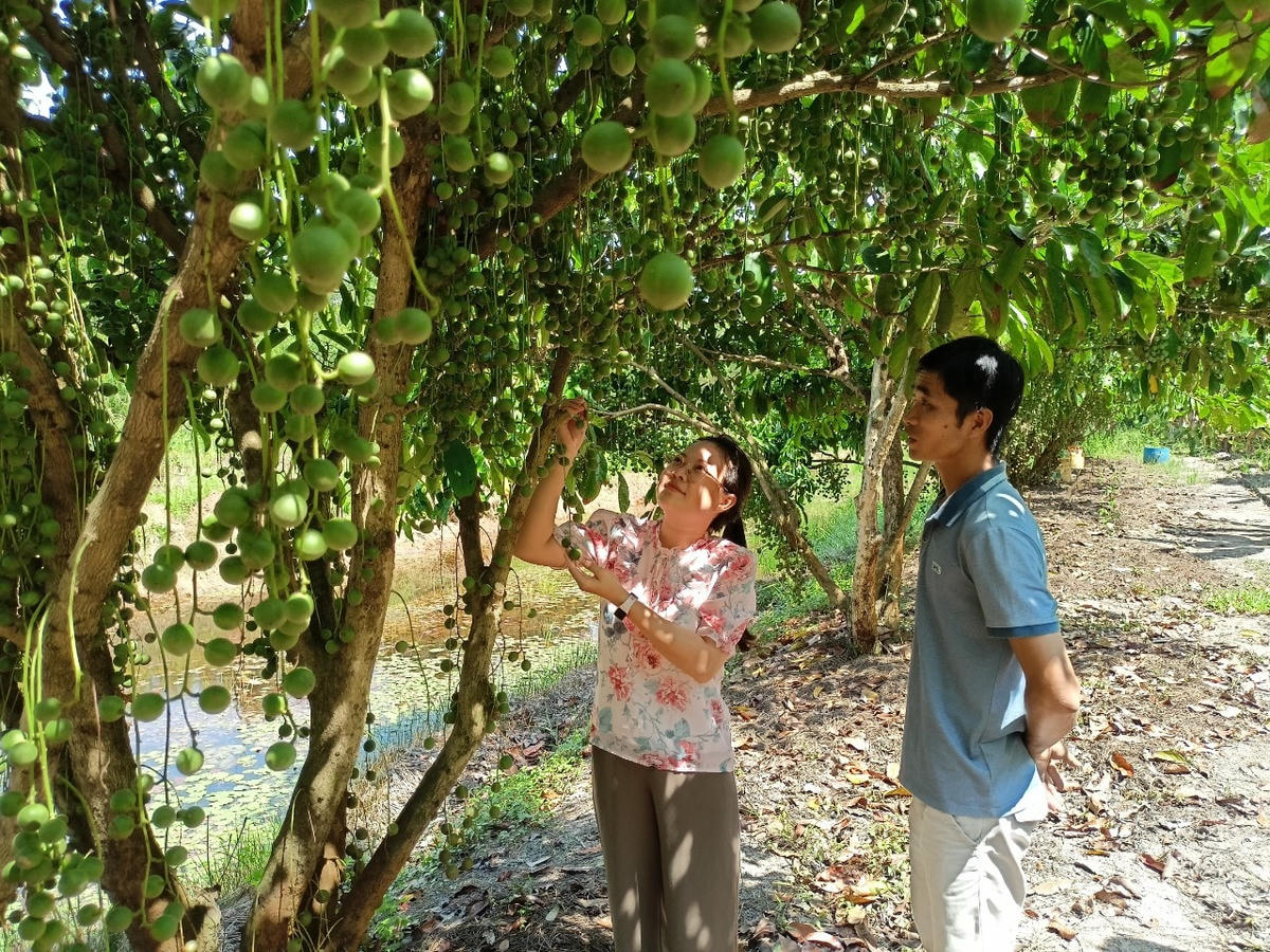 Huyện U Minh đẩy mạnh phát triển hạ tầng giao thông.