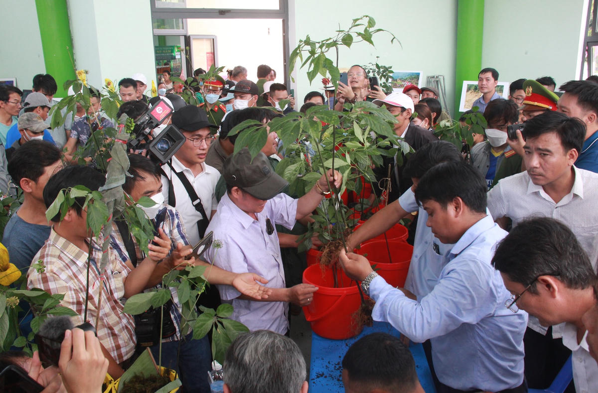 Rất đông người dân đến tham dự lễ hội sâm Ngọc Linh.