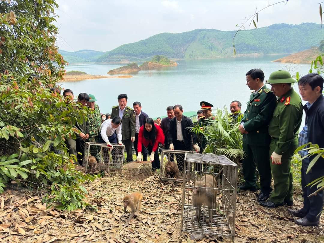 Lãnh đạo huyện Vũ Quang cùng dự tái thả cá thể động vật hoang dã về tự nhiên.