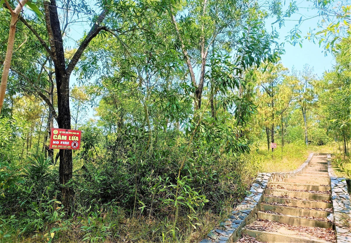 anh-nho.jpg