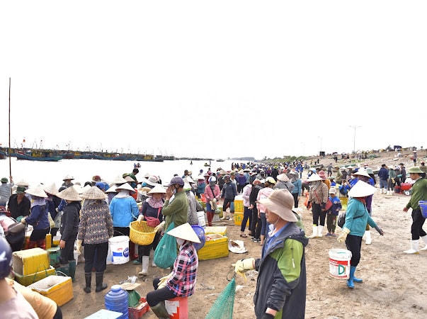 Có nhiều loại rác thải được thống kê trên bờ biển là: Nhựa, kim loại, thủy tinh, cao su, vải, gỗ và các loại khác nhưng phổ biến nhất vẫn là rác thải nhựa như xốp, dây nhựa, lưới, túi nhựa, chai nhựa... 