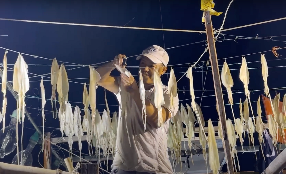 Ảnh 3-Ngư dân vui mùa mực lá