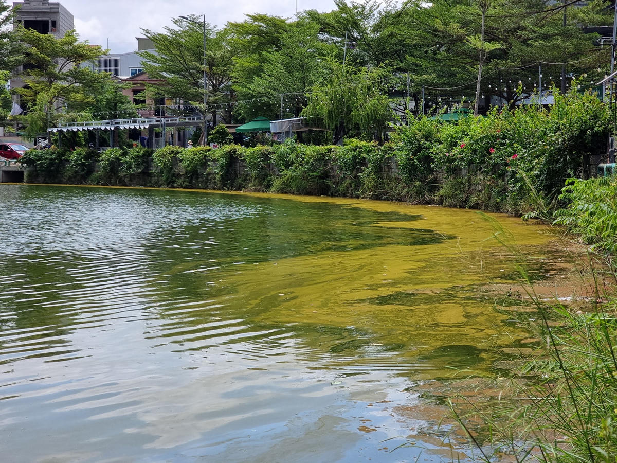 Hiện cơ quan chức đã tiến hành lấy mẫu nước để phân tích.