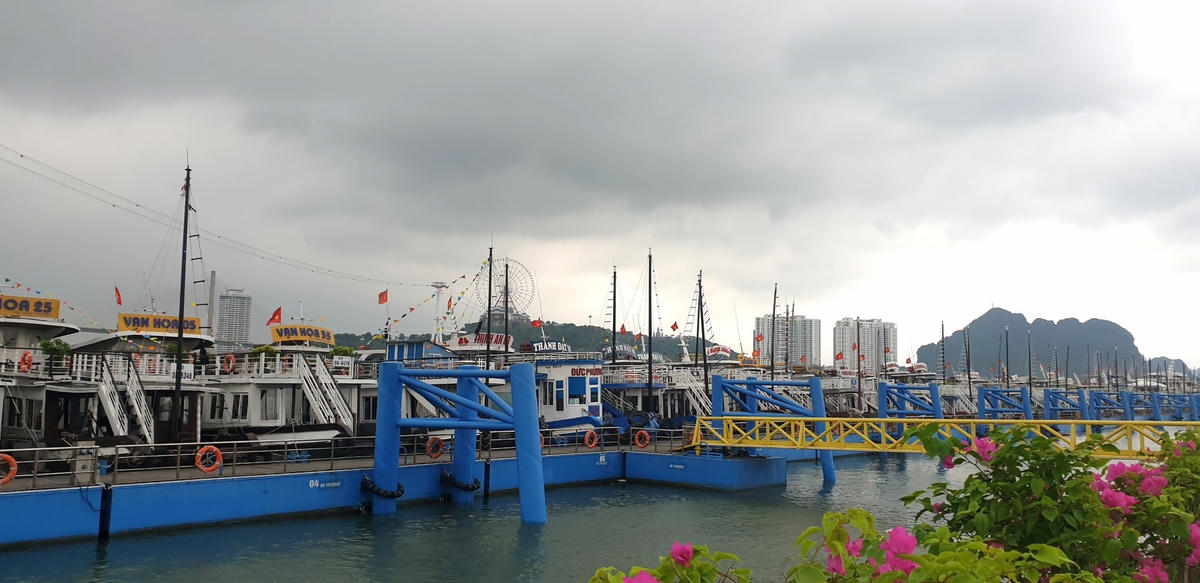 Tại Cảng tàu khách quốc tế Hạ Long, tàu du lịch đã về bờ neo đậu từ rất sớm. Ban Chỉ huy PCTT-TKCN&PTDS tỉnh Quảng Ninh cũng yêu cầu những tàu đang trên lịch trình chạy về nơi tránh trú bão và phải hoàn thành trước 18h ngày 19/10.