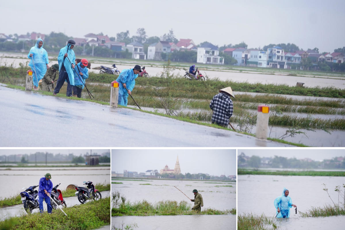 Mưa lũ gây ra nhiều thiệt hại cho người dân tỉnh Hà Tĩnh. Tuy nhiên, đây cũng chính là cơ hội cho bà con nông dân thôn Hội Cát ra quân tiêu diệt chuột. Ảnh: Cẩm Kỳ