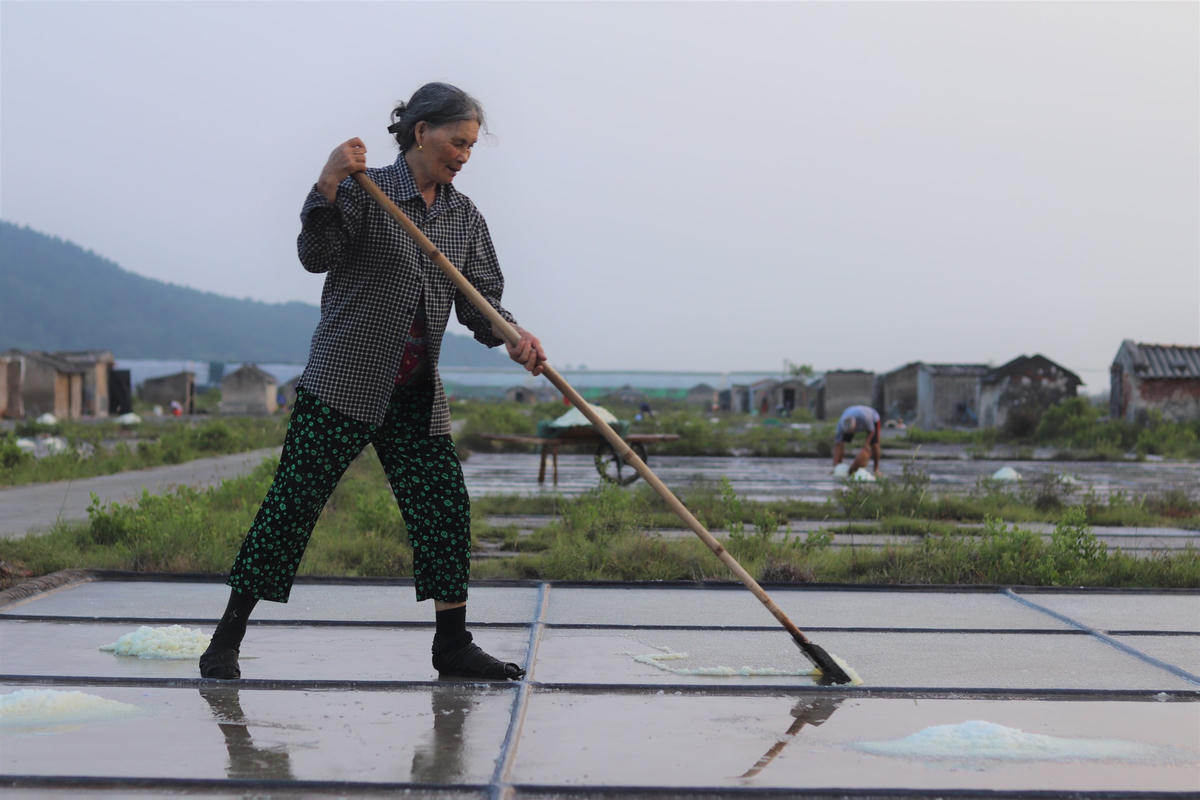 Bà Phạm Thị Loan (71 tuổi) cho biết, gia đình bà có gần 1 mẫu đất làm ruộng muối. Năm nay, giá muối cao hơn năm ngoái khi đạt mức 2.500 đ/kg. Tuy nhiên, đến thời điểm này, lượng thương lái đến mua muối khá ít khiến người dân vô cùng lo lắng. "Nghề muối này có lẽ chỉ còn thế hệ chúng tôi là sẽ làm nữa thôi. Bây giờ, công ty, xí nghiệp nhiều, tụi trẻ nó không muốn làm cái nghề bán mặt cho đất, bán lưng cho trời như thế này nữa. Từ sâu trong lòng, chúng tôi cũng rất tiếc rằng không lưu truyền được nghề cha ông để lại. Tuy vậy, cũng phải chấp nhận thôi vì cuộc sống mỗi ngày một khác", bà Loan trầm tư nói.