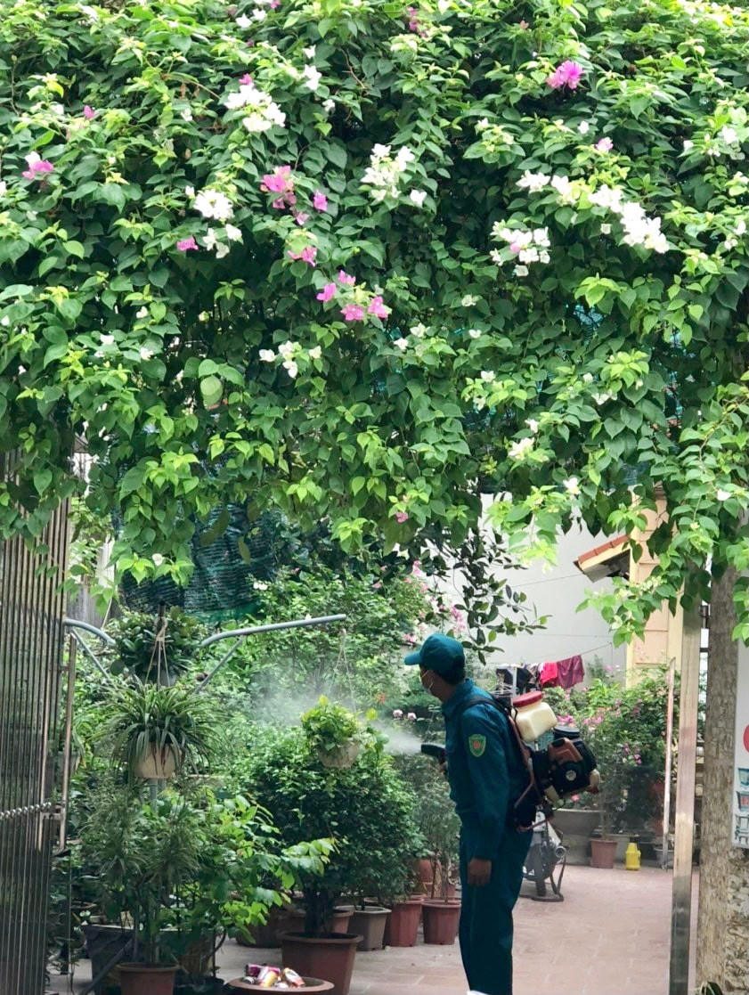 Phun thuốc diệt muỗi, chống sốt xuất huyết.