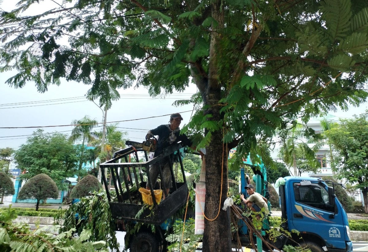 Người dân cắt cành cây để phòng chống bão số 4.