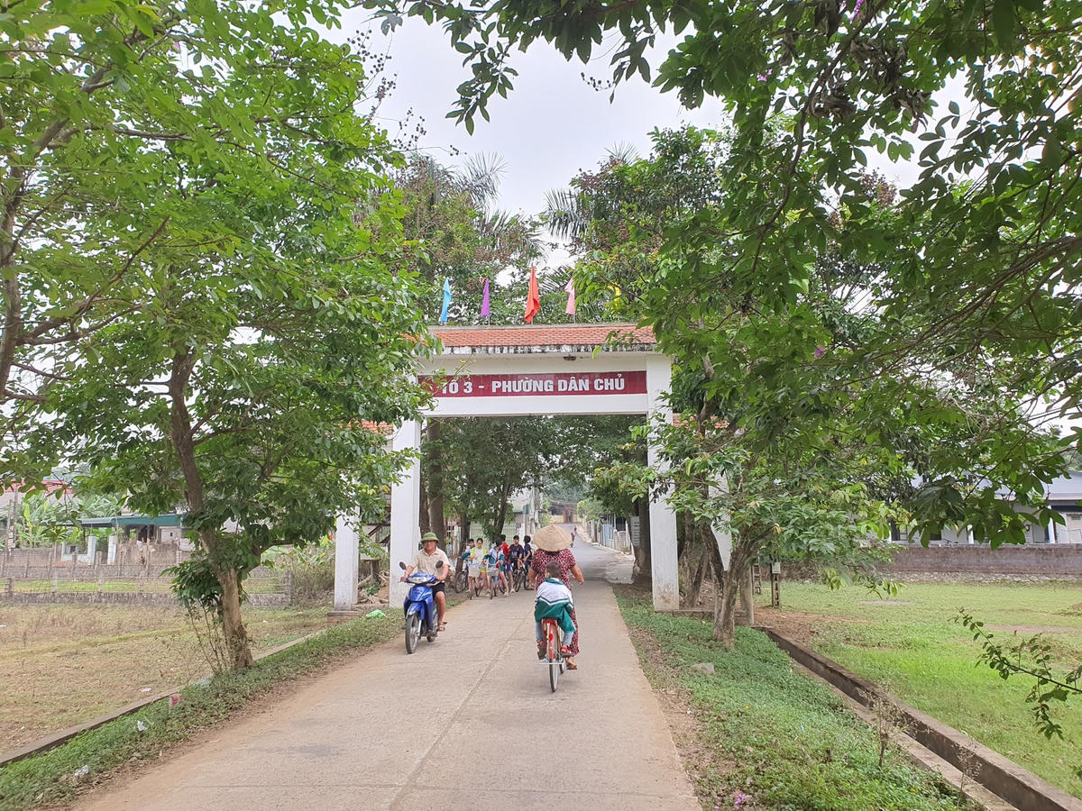 Anh Nguyễn Thanh Xuân (tổ 3, phường Dân Chủ) chia sẻ, khi còn nhỏ tôi đã thấy có hàng cây bằng lăng này, tuổi thơ của tôi gắn liền với hàng cây này mỗi khi đi học về, những trưa hè đi qua đây được hàng cây tỏa bóng mát cảm thấy vô cùng dễ chịu. Khi thấy hàng cây phải chuyển đi thì không chỉ riêng tôi mà tất cả mọi người đều tiếc nuối