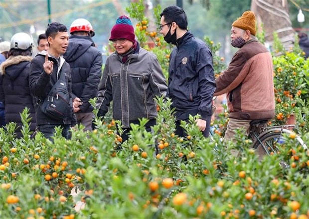 Bắc Bộ, Bắc Trung Bộ duy trì tình trạng rét từ ngày 30 đến mùng 8 Tết. (Ảnh: Thanh Tùng/TTXVN)