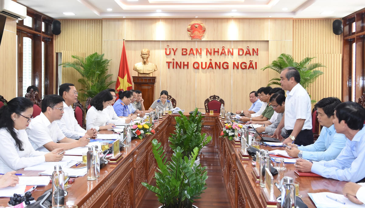 Lãnh đạo tỉnh Quảng Ngãi trao đổi với đoàn công tác tại buổi làm việc. 