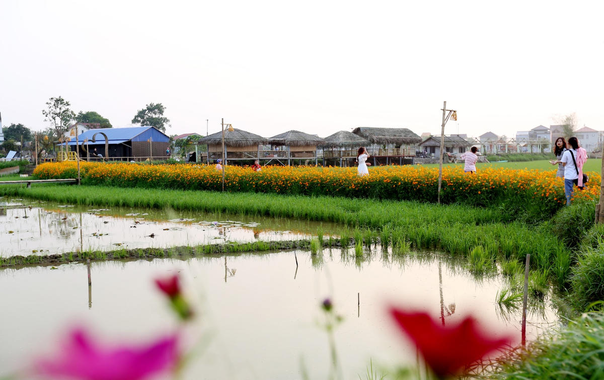 "Do trồng lúa chưa mang lại hiệu quả cao nên tôi đã thuê 5 ha đất và xây dựng mô hình trồng lúa kết hợp nuôi cá, tôm càng xanh. Là người con của quê hương tôi muốn tạo một không gian thật bình yên, vừa phát triển du lịch địa phương vừa là nơi để trở về sau những ngày làm việc', anh Nguyễn Hữu Quyền chia sẻ.