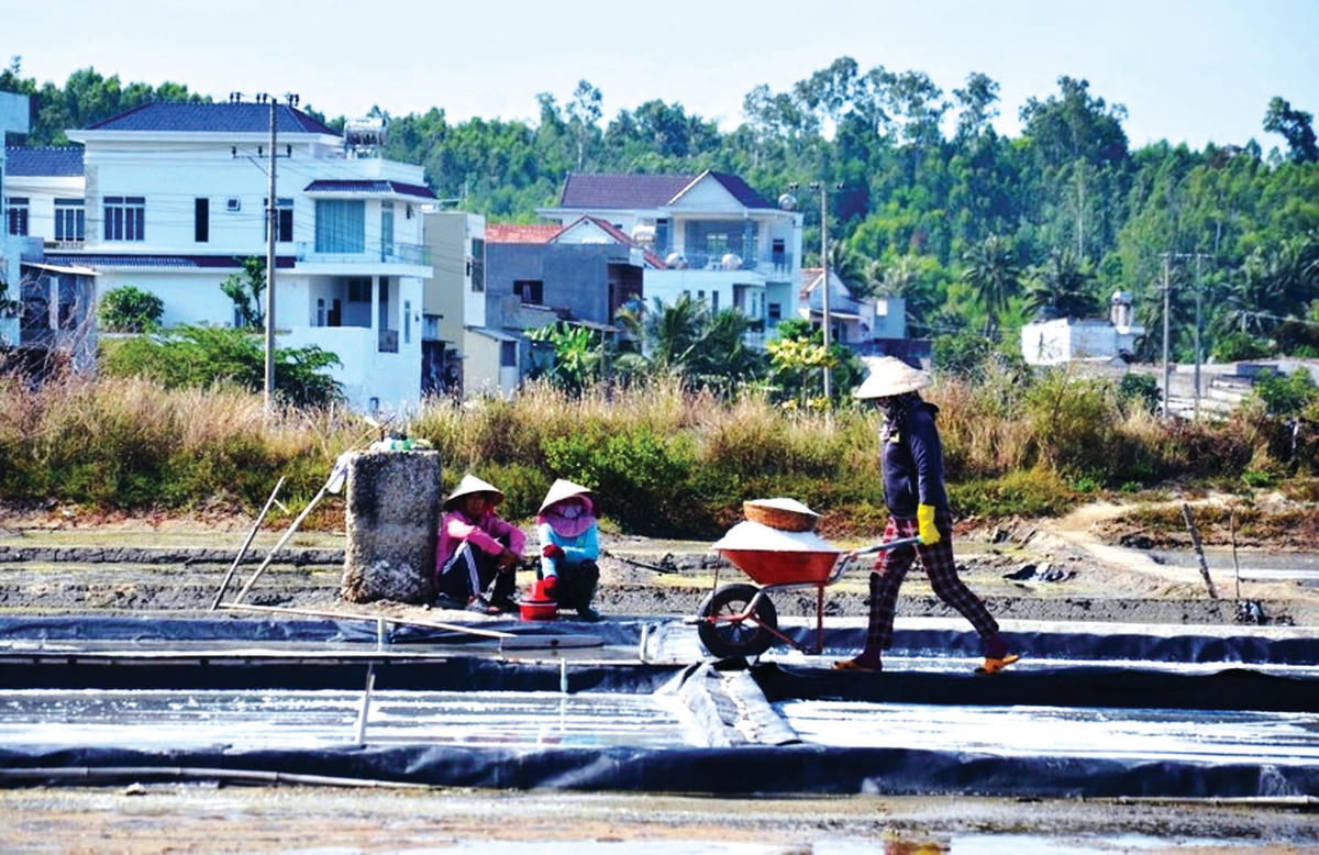 Dùng xe rùa đưa muối lên bờ.