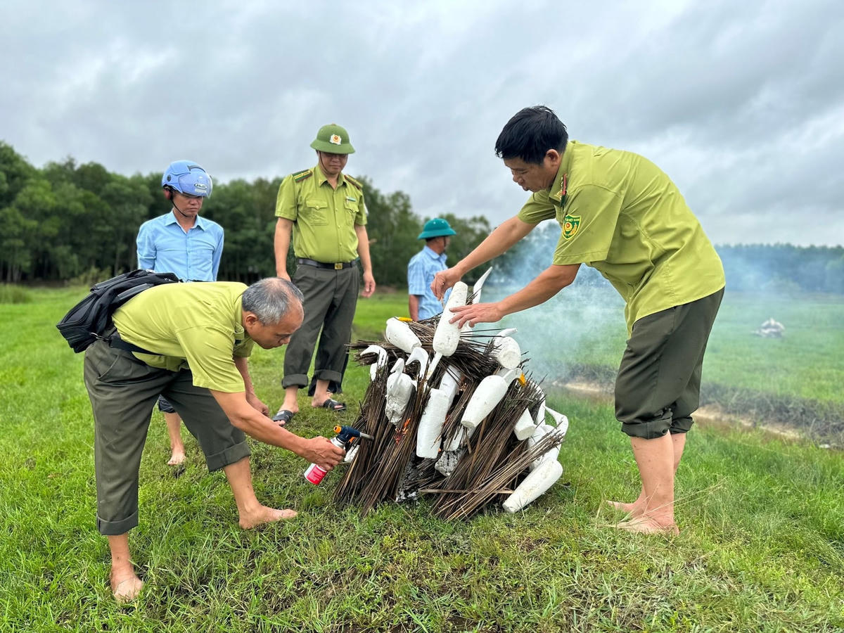 Lực lượng chức năng xuống hiện trường thu gom bẫy chim.