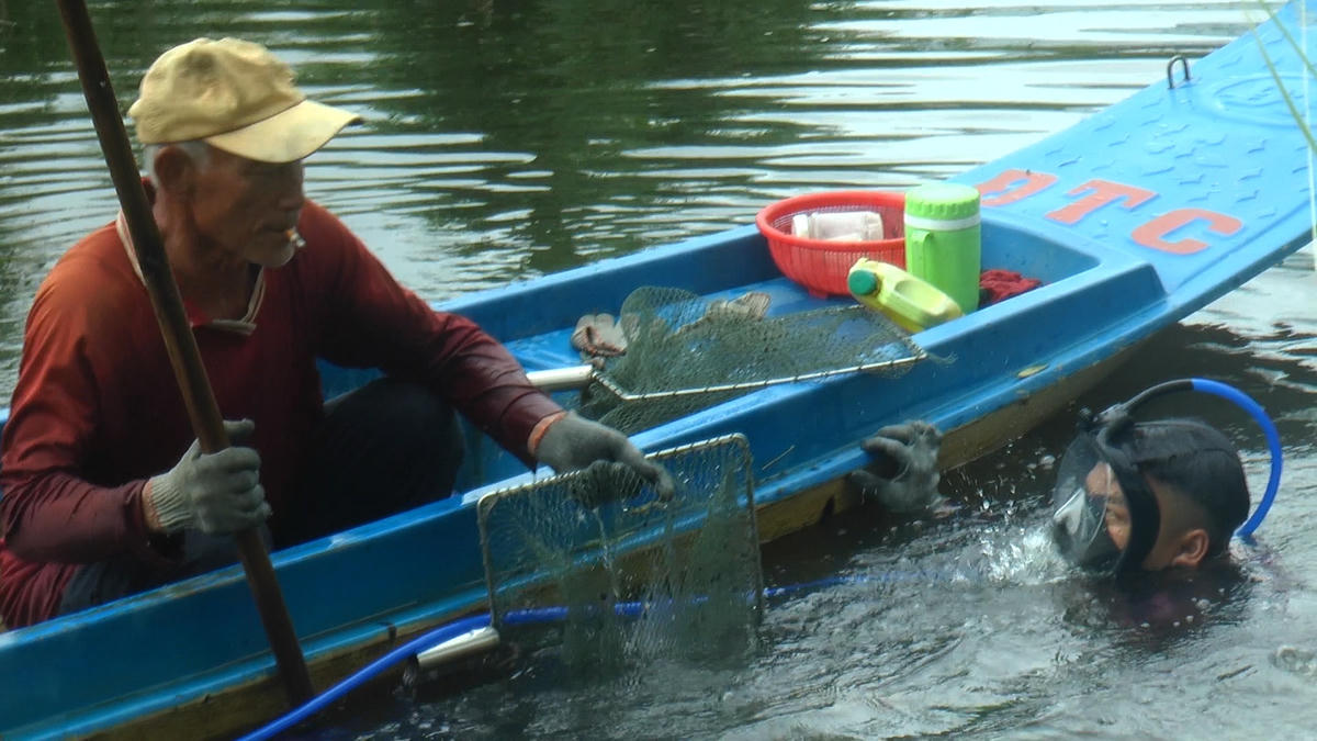 Người săn vòm đen phải trầm mình xuống nước khá sâu hàng giờ để mưu sinh.