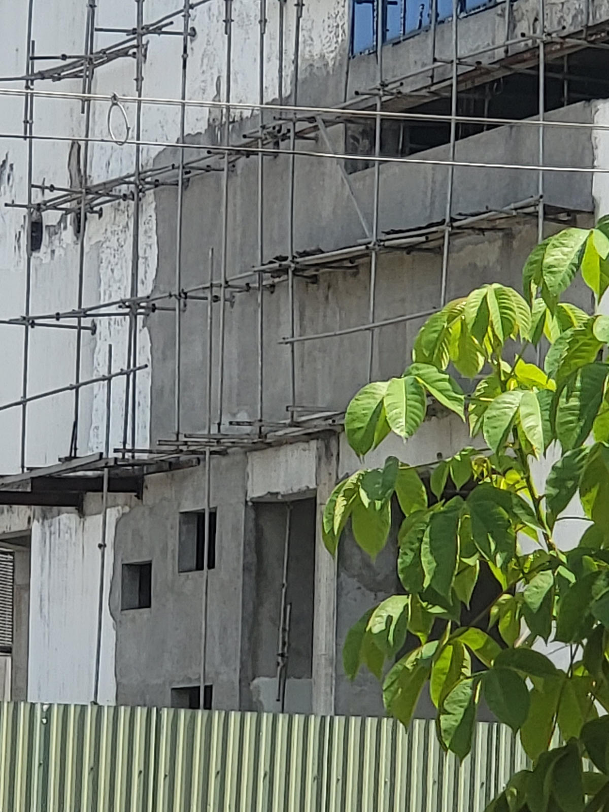 Các hạng mục xây dựng dở dang, cỏ dại mọc um tùm. Ảnh: Tiểu Vi.